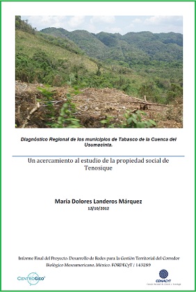 Diagnóstico Regional de los municipios de Tabasco de la Cuenca del Usumacinta.